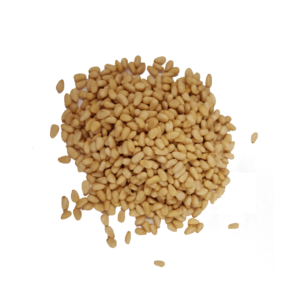 High-quality Pine Nuts – Chilghozey (250-g)