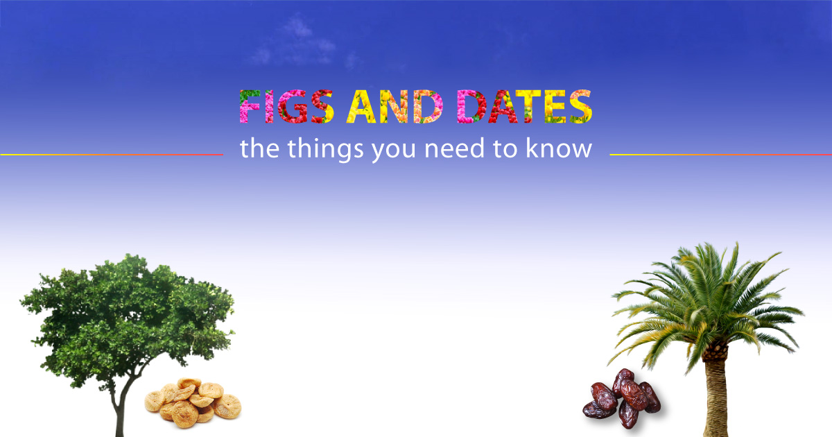 Benefits of Figs and Dates