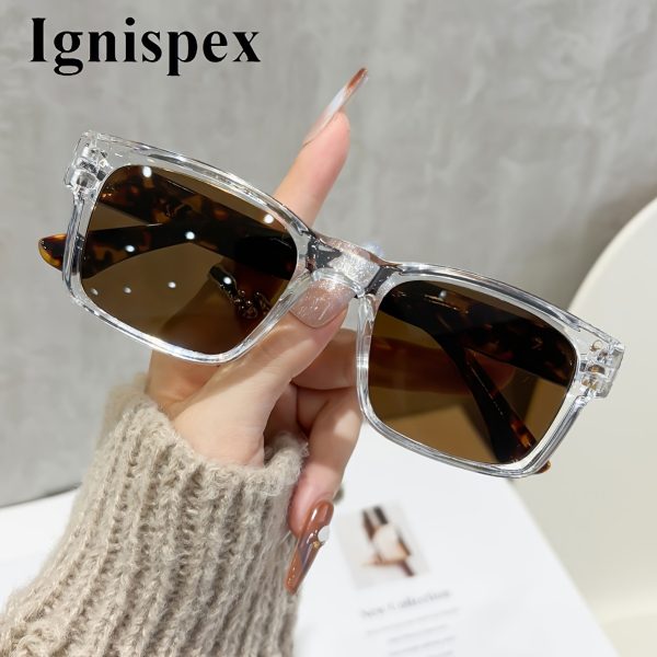 Thick-Rim Square Sunglasses